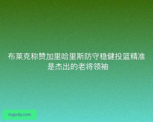 布莱克称赞加里哈里斯防守稳健投篮精准 是杰出的老将领袖